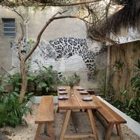   at Pizza Papi in Tulum