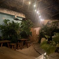   at Pizza Papi in Tulum