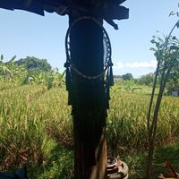  at Sayavegan in Kuta