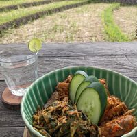 Jackfruit Rendang at Sayavegan in Kuta