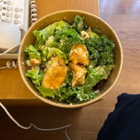 Not so appetizing protein salad  at Sayavegan in Kuta