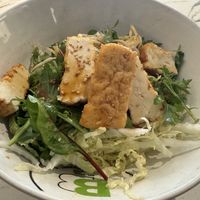 Pure Buddha’s Delight Vegan Tofu Salad - large portion, my photo doesn’t do it justice.   at Banana Blossom Asian Salads in Mona Vale