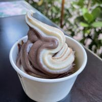 Swirl soft serve (soy based)  at SoBe Vegan in Miami Beach