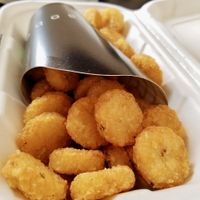Cannot forget the tots  at SoBe Vegan in Miami Beach