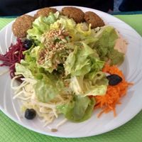 Libanese plate: hummus, falafel, taboulé and salad at Le Tournesol Cuisine Vegetarienne in Albi