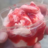  at Peterle Gelateria Yogurteria in Trento
