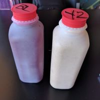 beet lemonade and Yes on 2 (with hemp) at Vegetarian Delight in Miramar