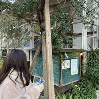 No lado de fora #Veganuary at Modernark in Kobe