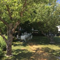 Cozy garden  at Vita Snäckan in Bastad
