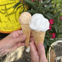 Cranberry peanut and coconut ice creams   at Caramello Eisdiele in Berlin