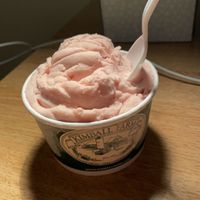   at Kimball Farm  in Westford