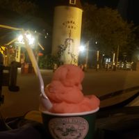 Kimballs-Westford,MA-Straw/kiwi sorbet at Kimball Farm  in Westford