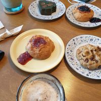 our samples for day at Ganve Ganve - 건비건비 in Gyeonggi-do