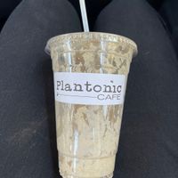 Muscle Monkey  at Plantonic Cafe in Hartford