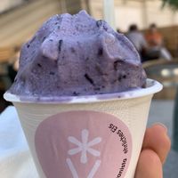 Lavender blueberry  at Veganista Ice Cream XI in Vienna