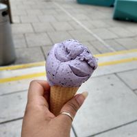 Lavender Blueberry at Veganista Ice Cream XI in Vienna