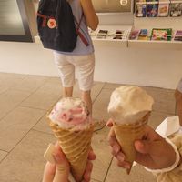  at Veganista Ice Cream XI in Vienna