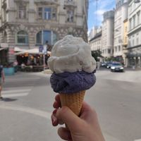Kokos und Heidelbeer-Lavendel at Veganista Ice Cream XI in Vienna