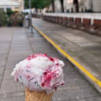 Black forest at Veganista Ice Cream XI in Vienna