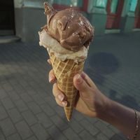 Cinnamon and oats + chocolate at Veganista Ice Cream XI in Vienna