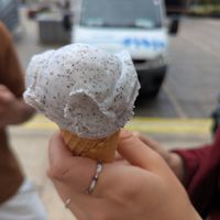  at Veganista Ice Cream XI in Vienna