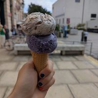  at Veganista Ice Cream XI in Vienna