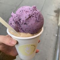 Blueberry Lavender, pear and cookie icecream  at Veganista Ice Cream XII in Vienna