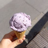 Blueberry Lavender at Veganista Ice Cream XII in Vienna
