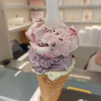  at Veganista Ice Cream XII in Vienna