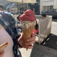   at Veganista Ice Cream XII in Vienna