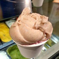  at Veganista Ice Cream XII in Vienna