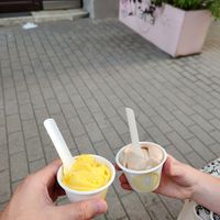  at Veganista Ice Cream XII in Vienna