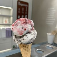 Cookie and Black Forest scoops  at Veganista Ice Cream XII in Vienna
