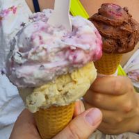  at Veganista Ice Cream XII in Vienna