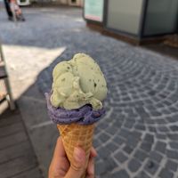 Basil, blueberry lavender at Veganista Ice Cream XII in Vienna