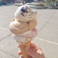 Cookies / Hazelnut / Black Forest 🍦  at Veganista Ice Cream XII in Vienna