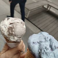  at Veganista Ice Cream XII in Vienna
