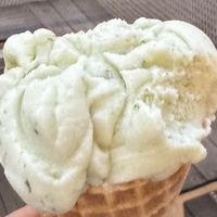 Basil ice creamm  at Veganista Ice Cream XII in Vienna