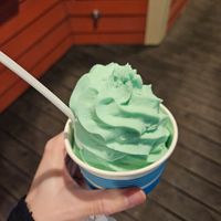 Vegan pistacchio at Chandler Square Ice Cream  in Port Jefferson