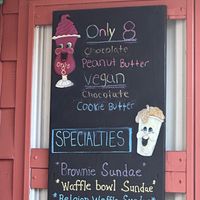 Vegan flavors   at Port Jefferson Ice Cream Cafe in Port Jefferson