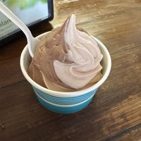 Chocolate and cookie butter swirl  at Port Jefferson Ice Cream Cafe in Port Jefferson