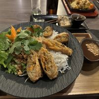 Tofu mit Reisnudeln, vegane Frühlingsrollen und Salat  at Phở Hà Nội in Linz