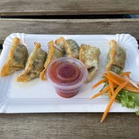 Fried dumplings   at EatHappy Vegan in Oslo