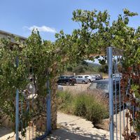 Entrance  at Makura in Kerem Maharal