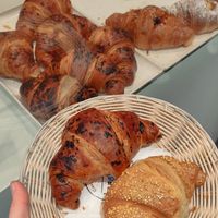 apricot and chocolate vegan cornettos at D'Angelo Caffè & Gastronomia in Rome