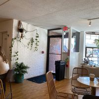 Indoor seating area and plants  at Drift Cafe in Newport