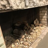 Fireplace at The Mad Herbalist in Clarksville