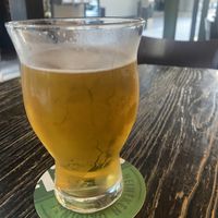 Pint   at Megans Bar and Kitchen  in New York City