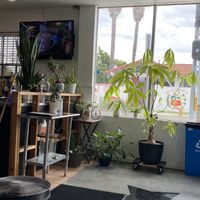   at Vegan Castle in Long Beach