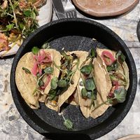 Tacos as entry #Veganuary at Hoy in Paris